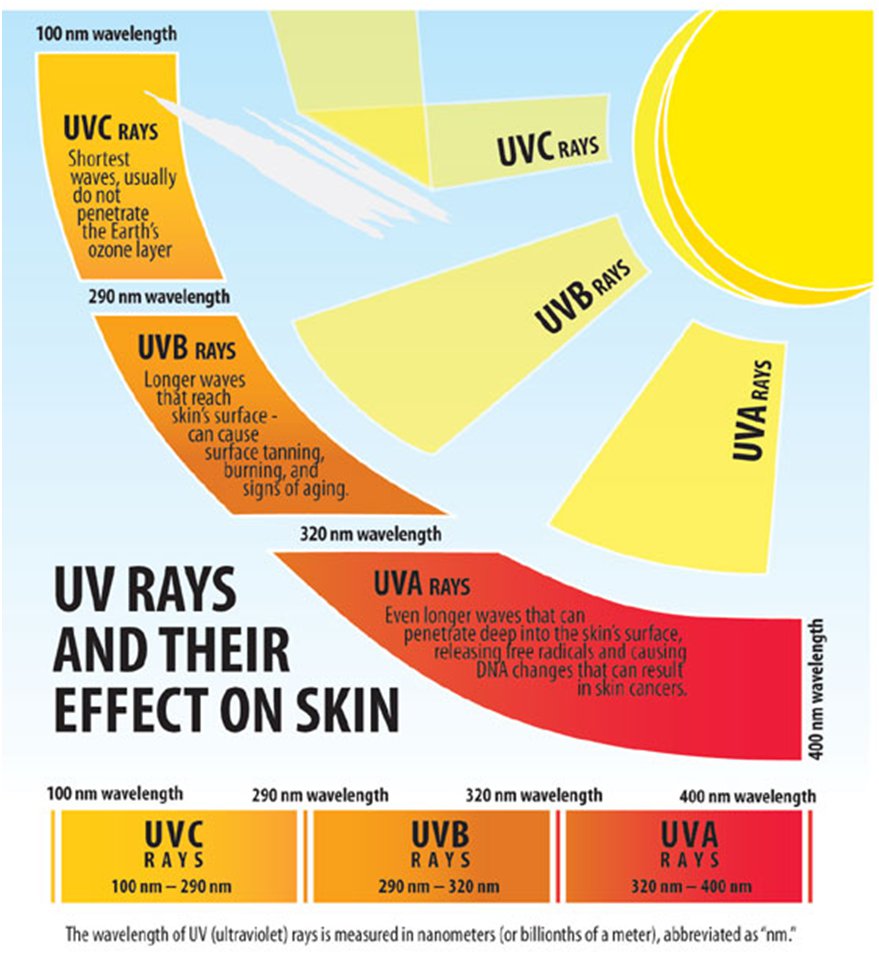 Infograph on 'UV Rays and their effect on skin'