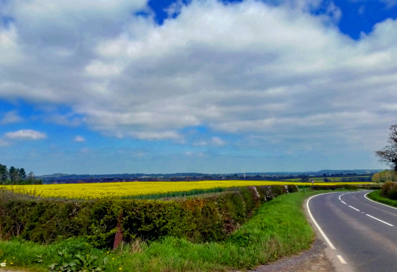 A field by a road