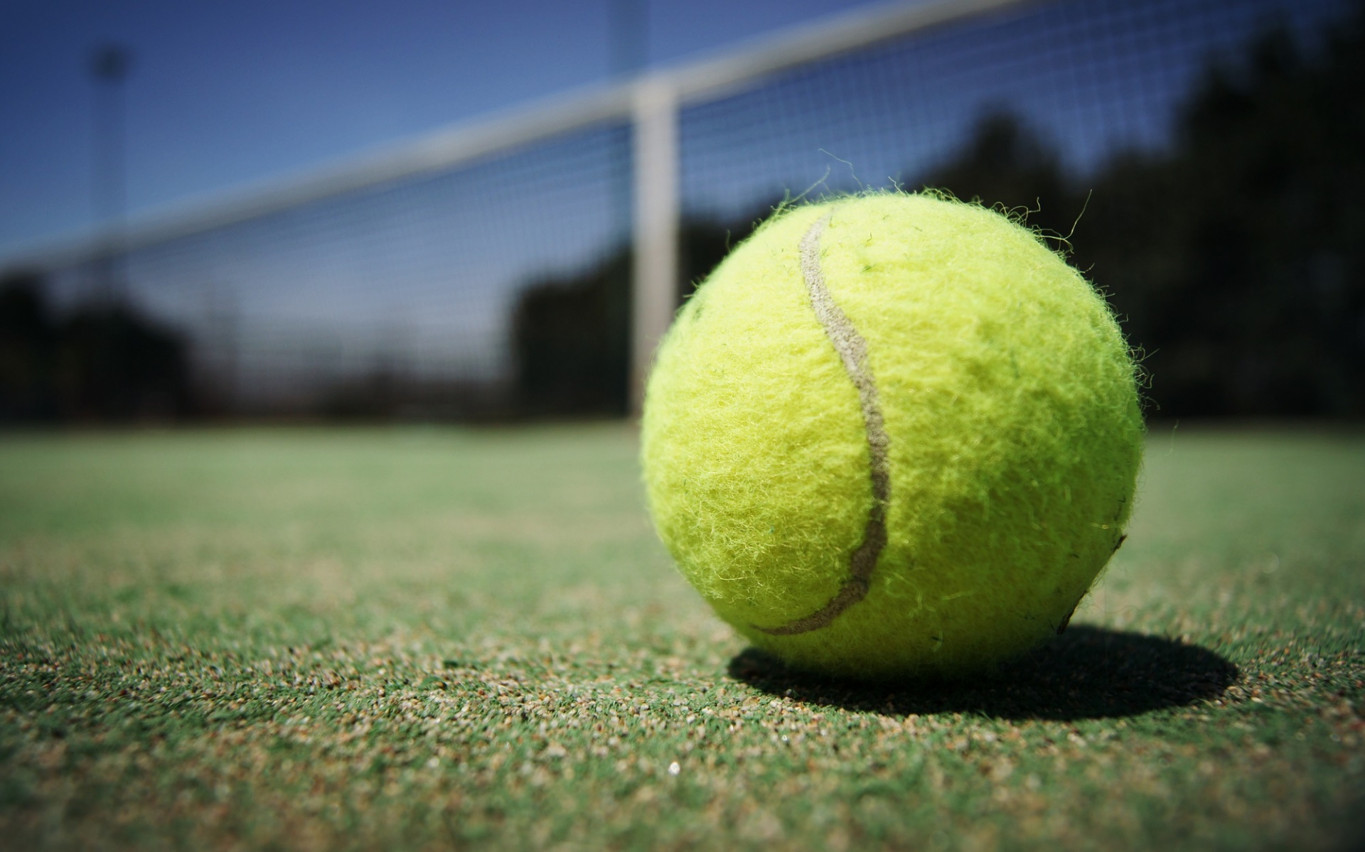 A yellow tennis ball