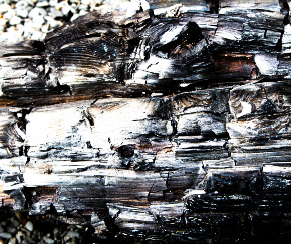 Charred wood