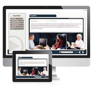 Ergowize DSE Training course