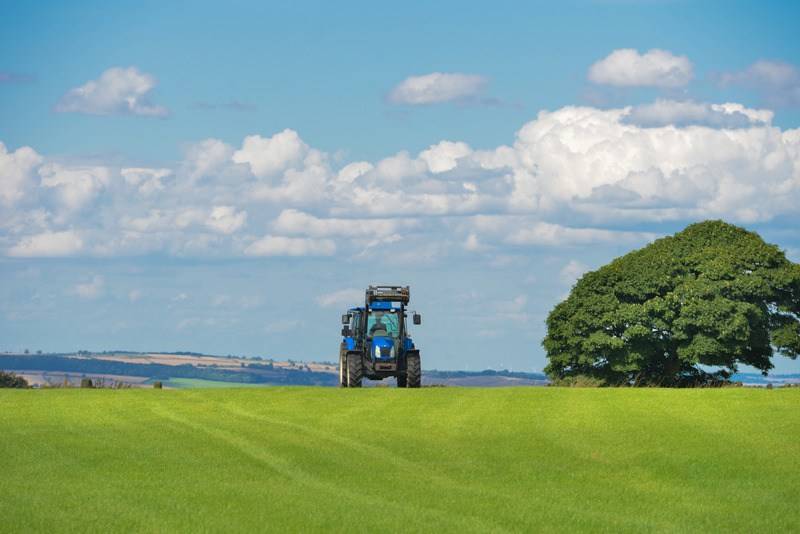 A blue tractor on a green field with a tree against a cloudy blue sky.