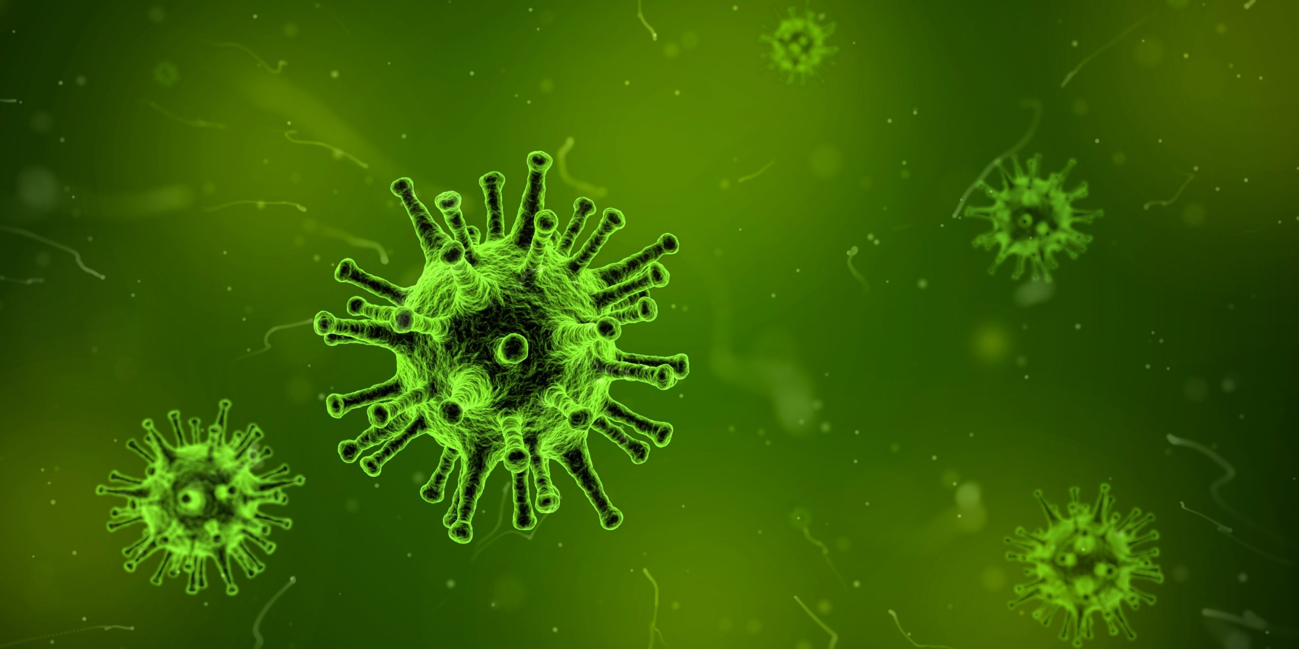 A virus under a microscope all in green.
