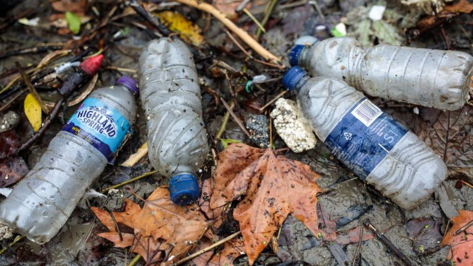 Plastic bottles on the banks of the River Thames.