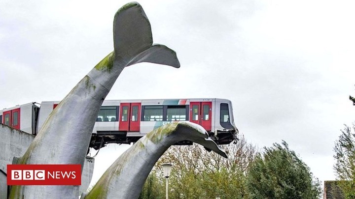 An image from the BBC where a metro train that crashed through a barrier was caught by a whale sculpture in the Netherlands.
