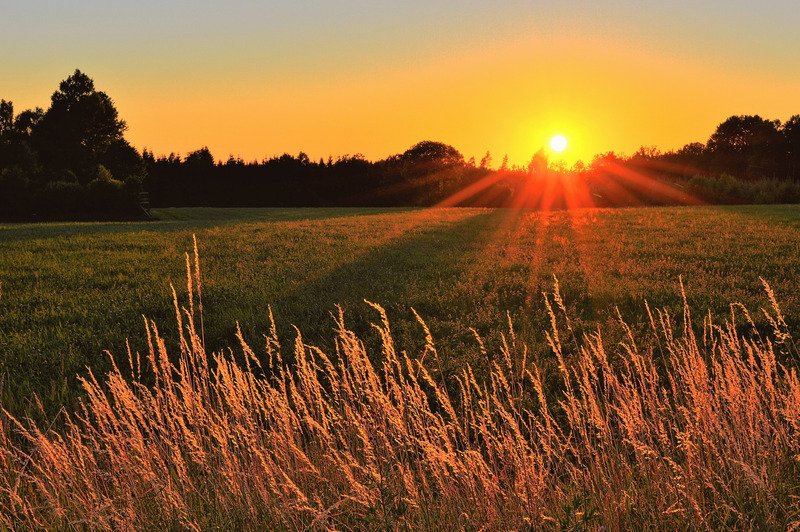 The sun setting on a field.