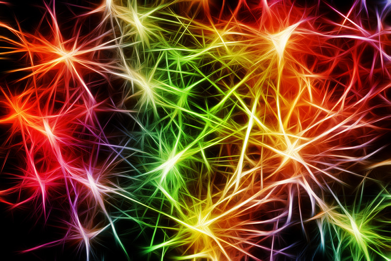 Brightly coloured neurons