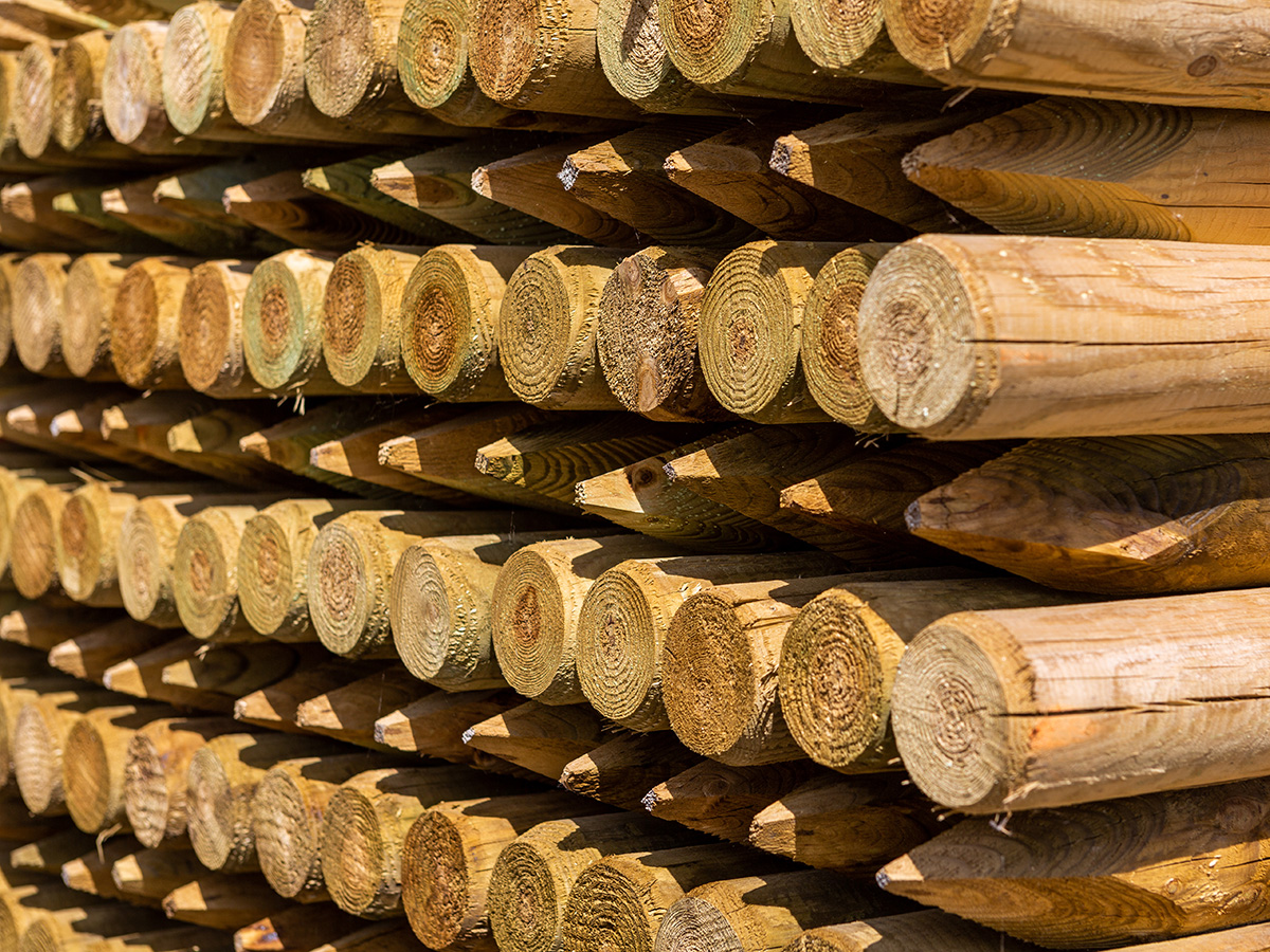 Timber