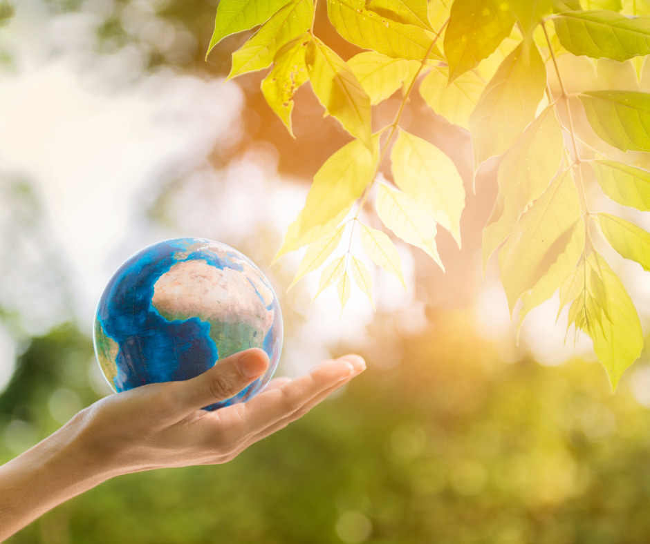 Hand holding a globe