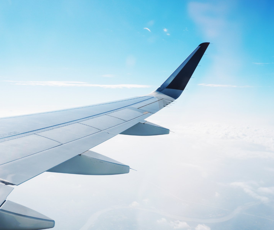 Plane wing