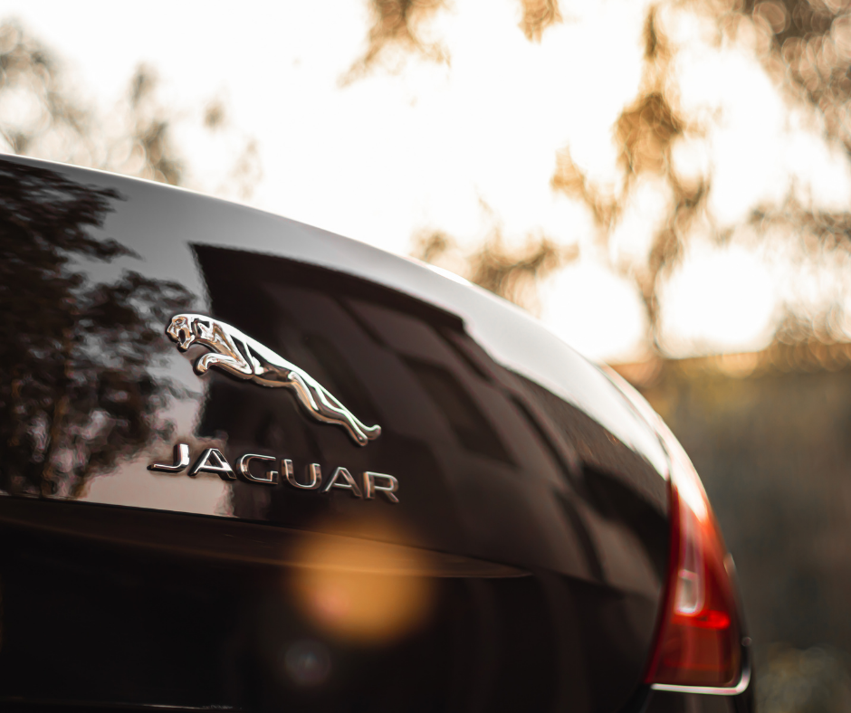 Back of a Jaguar car showing the logo
