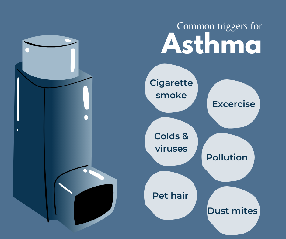 Infographic about asthma triggersas described in the text