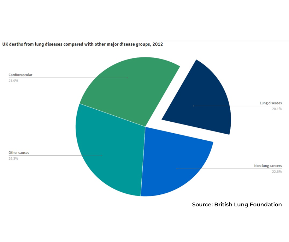 Pie chart - UK deaths from lung diseases compared with other major disease groups, 2012