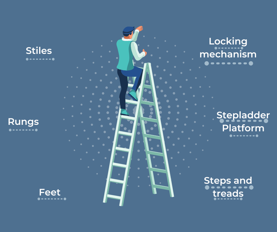 Infographic of parts of the ladder to check