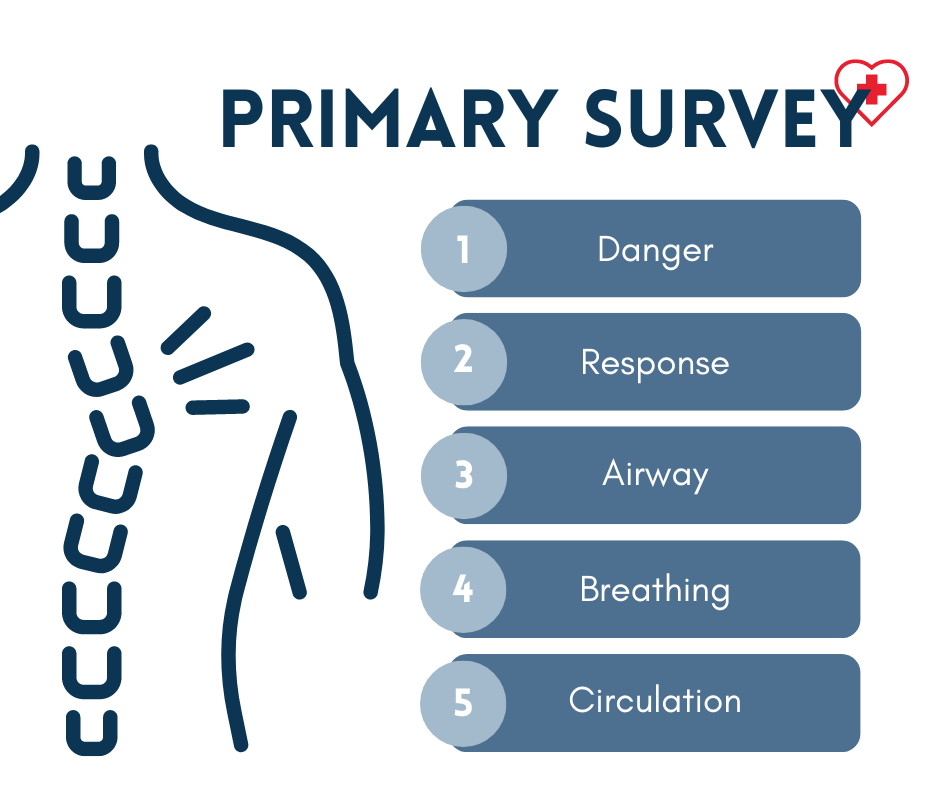 infographic outlining primary survey
