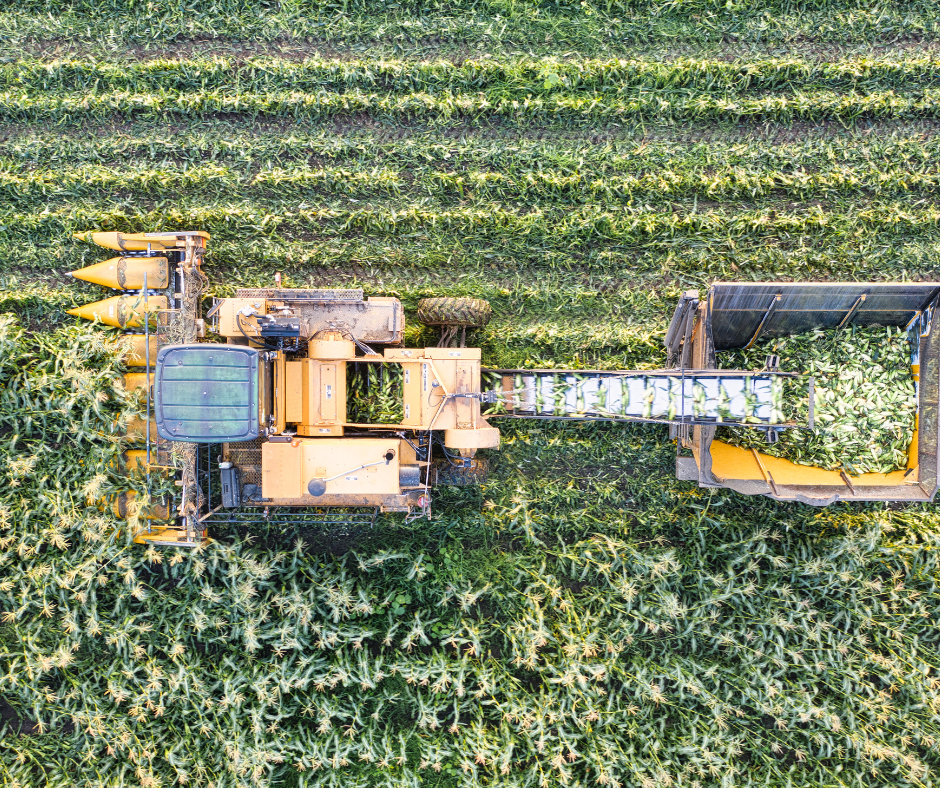 Combine harvester