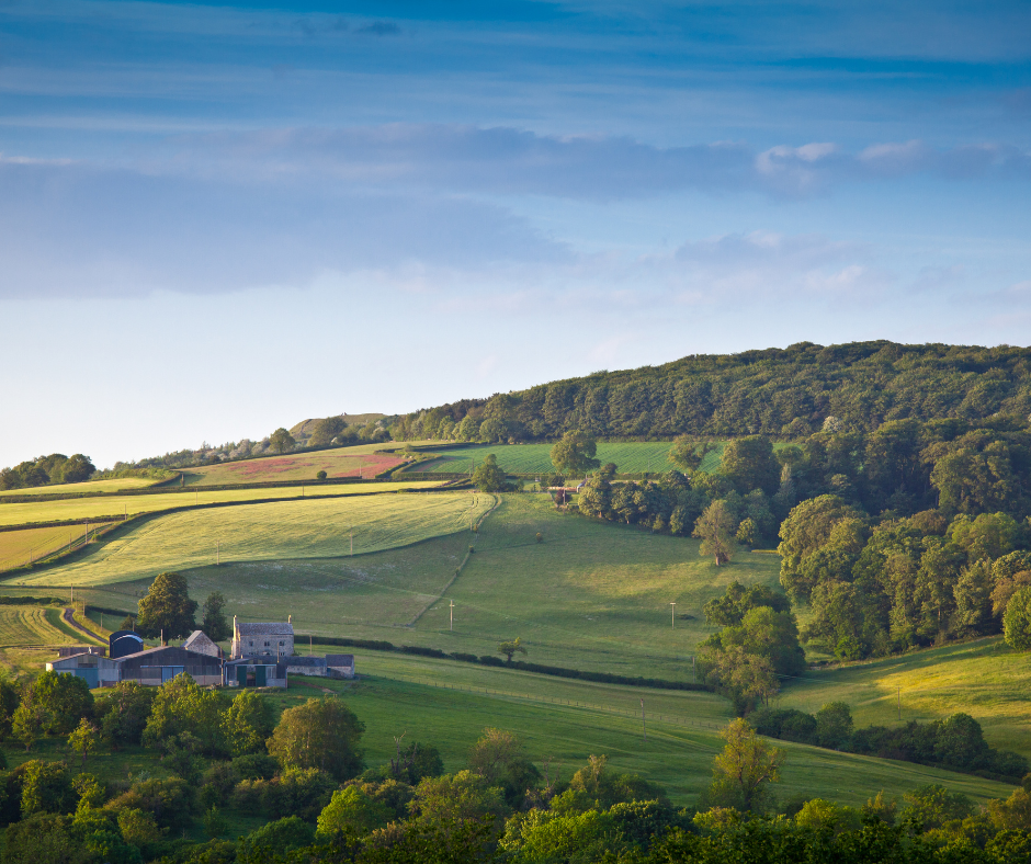 view of farm fields