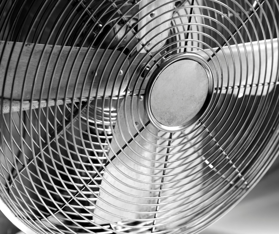 fan