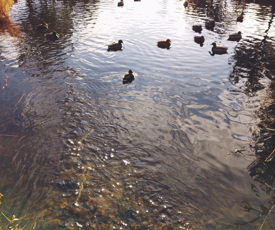river